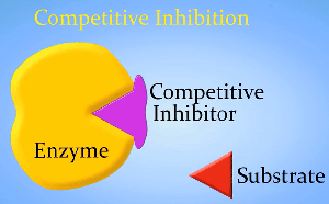 blog:comp_inhibition.gif