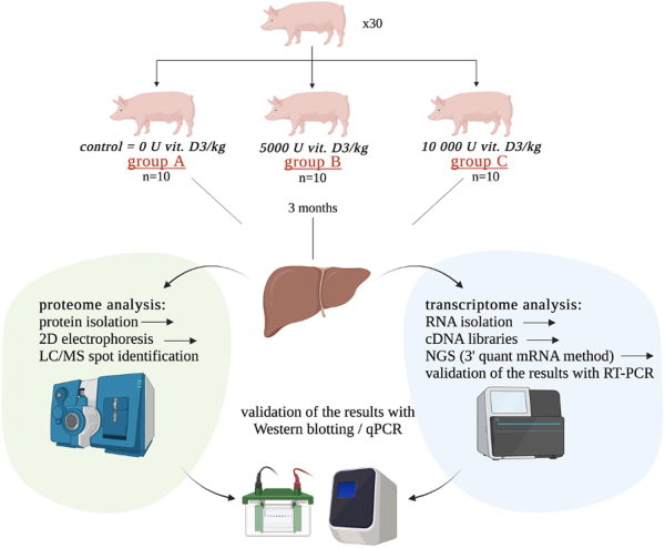 blog:polish_pigs.png